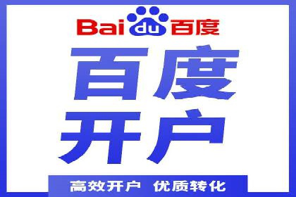 某电商平台的SEM推广实战经验